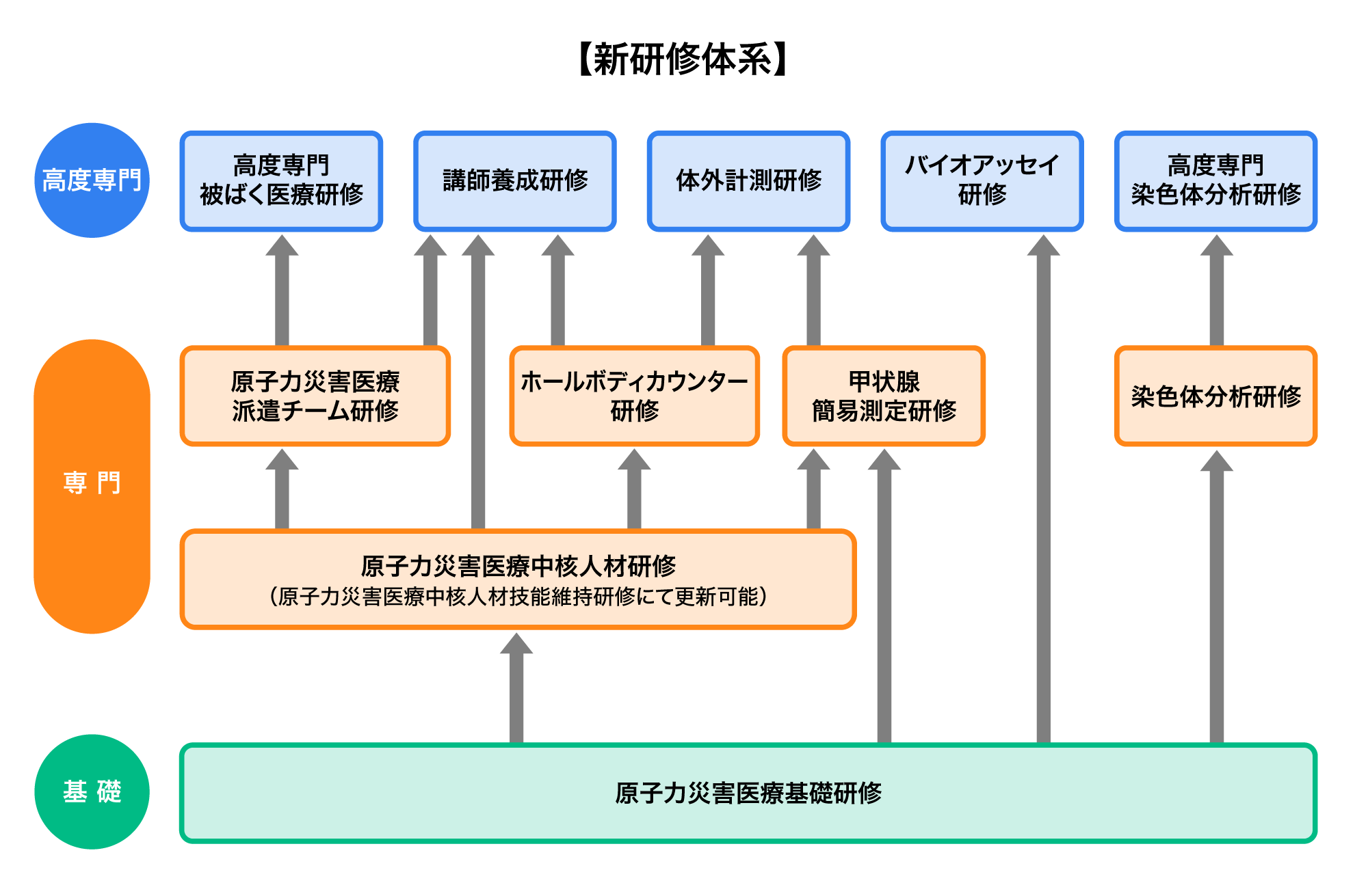 新研修体系